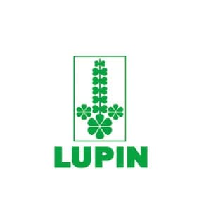 Lupin